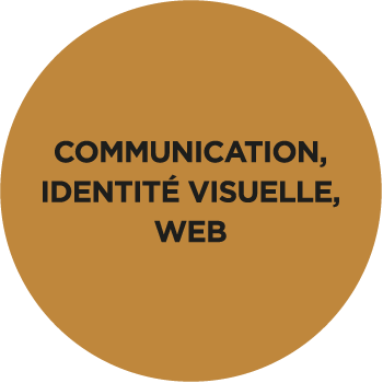 secteurs-activite-communication-intentite-visuelle-web