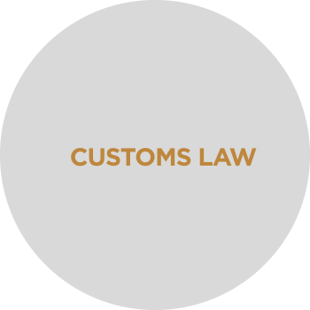 custom-laws-arenaire