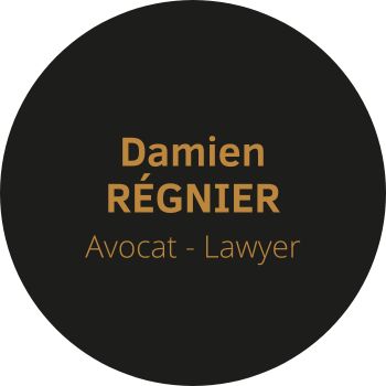 Damien Régnier lawyer