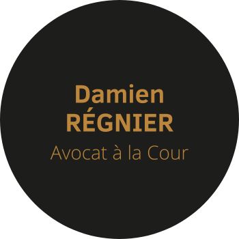 Damien Régnier avocat à la Cour